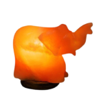 Hand Crafted Salt Lamp