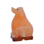 Hand Crafted Salt Lamp