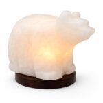 Multi-colored Premium Porcelain Bowl