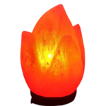 Salt Flower Lamp